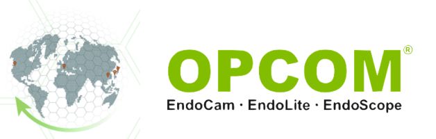 Secondary Logo