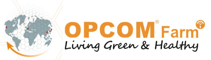 Secondary Logo