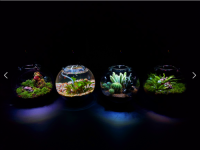 Microgreen Ball (OFG009)
