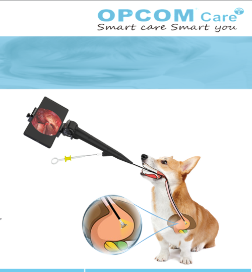 Elephant Vet 50 Flexible Endoscope