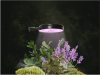 Micro-green Light - L09B