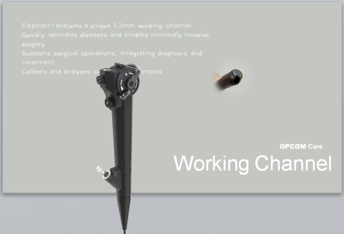 Elephant Vet 30 Flexible Endoscope