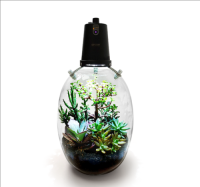 Microgreen Dome (OFG010)