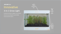 Grow Cube (OFG011A)