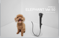 Elephant Vet 50 Flexible Endoscope