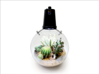 Microgreen Ball (OFG009)