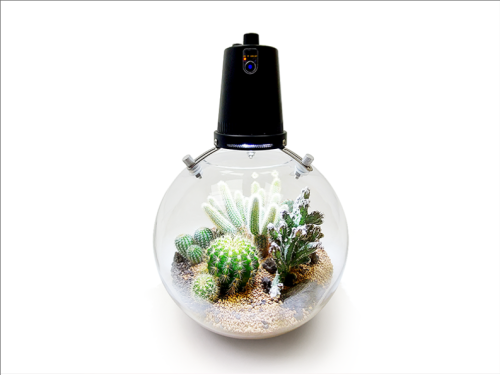 Microgreen Ball (OFG009)