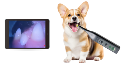 Duck Plus for Vets Dental Camera