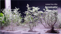 Grow Cube (OFG011A)