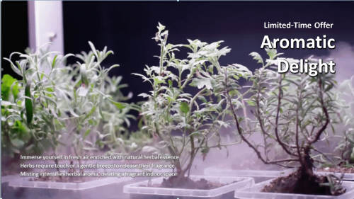 Grow Cube (OFG011A)