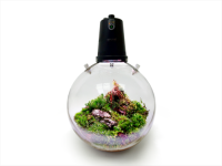 Microgreen Ball (OFG009)