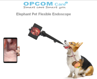 Elephant Pet Flexible Endoscope